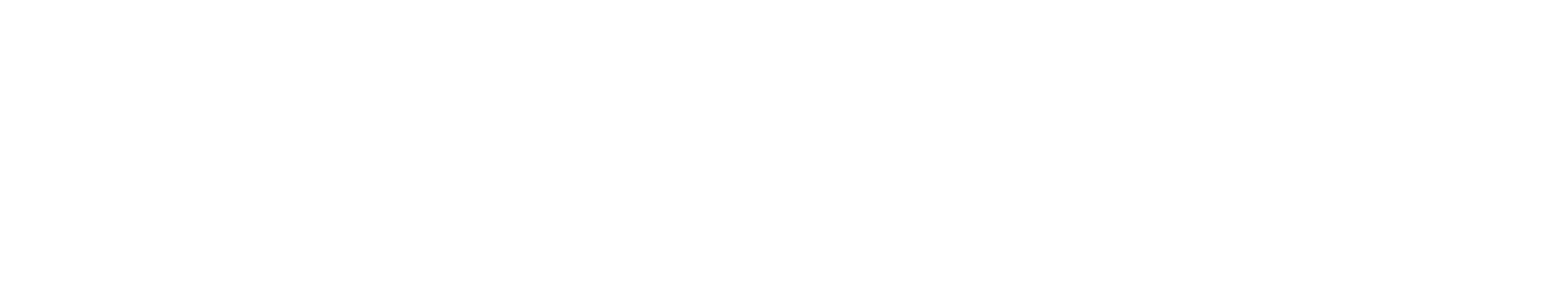 VANDERFLIP